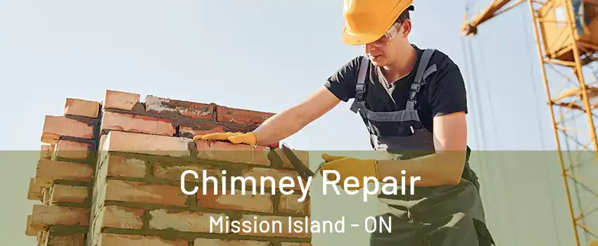  Chimney Repair Mission Island - ON
