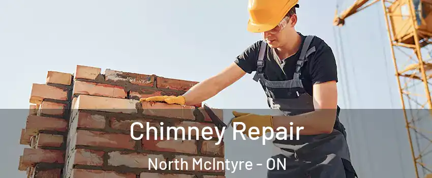  Chimney Repair North McIntyre - ON