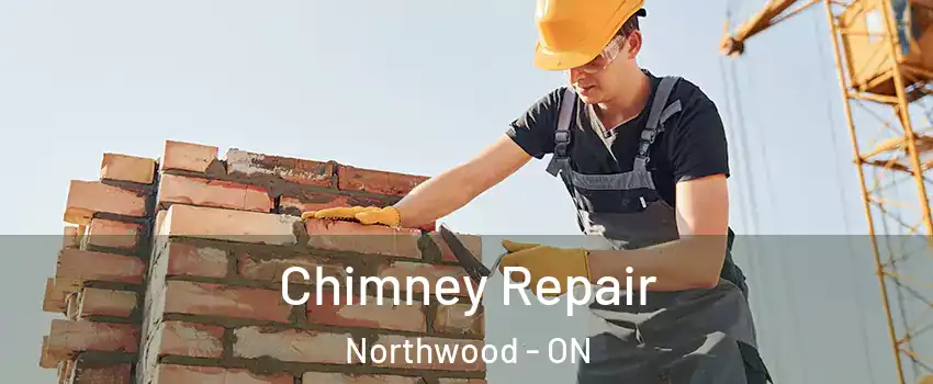  Chimney Repair Northwood - ON