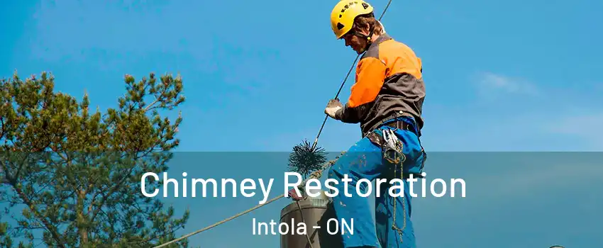  Chimney Restoration Intola - ON