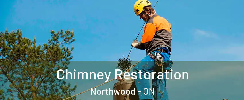  Chimney Restoration Northwood - ON