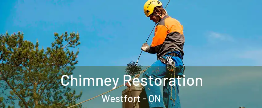  Chimney Restoration Westfort - ON
