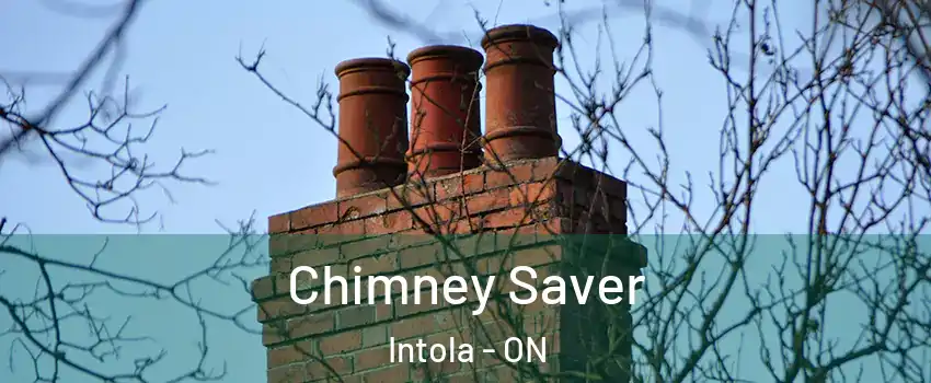  Chimney Saver Intola - ON