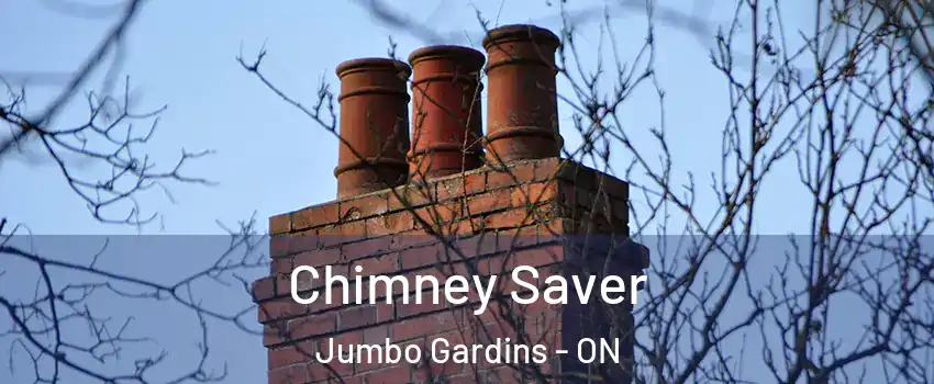  Chimney Saver Jumbo Gardins - ON