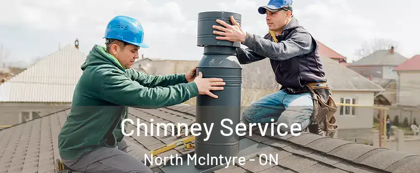  Chimney Service North McIntyre - ON
