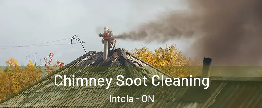  Chimney Soot Cleaning Intola - ON