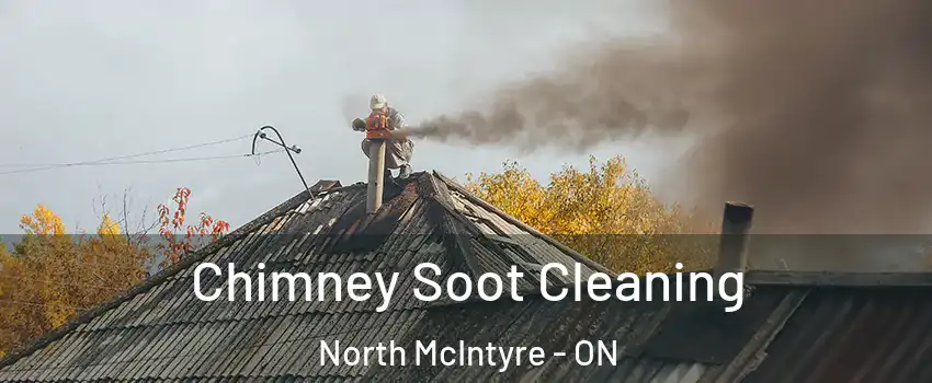  Chimney Soot Cleaning North McIntyre - ON