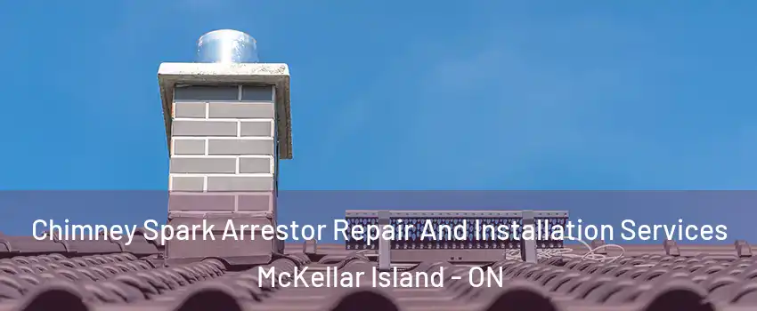  Chimney Spark Arrestor Repair And Installation Services McKellar Island - ON