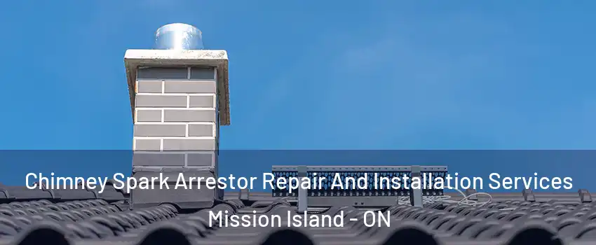  Chimney Spark Arrestor Repair And Installation Services Mission Island - ON