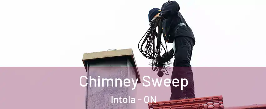  Chimney Sweep Intola - ON