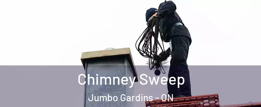  Chimney Sweep Jumbo Gardins - ON