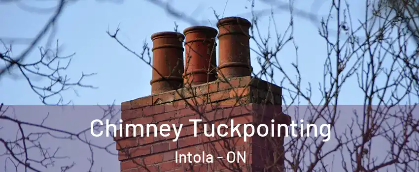  Chimney Tuckpointing Intola - ON