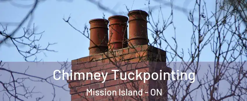  Chimney Tuckpointing Mission Island - ON
