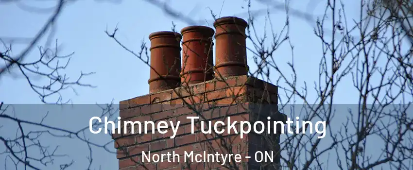  Chimney Tuckpointing North McIntyre - ON