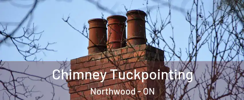  Chimney Tuckpointing Northwood - ON