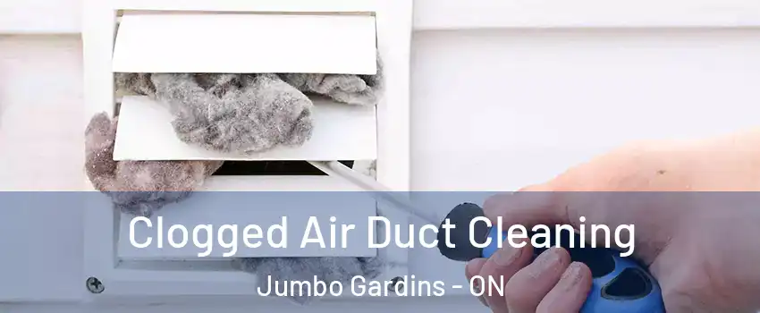  Clogged Air Duct Cleaning Jumbo Gardins - ON