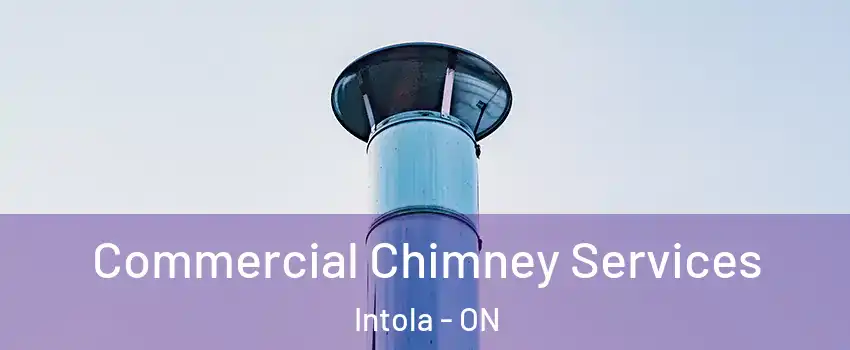  Commercial Chimney Services Intola - ON