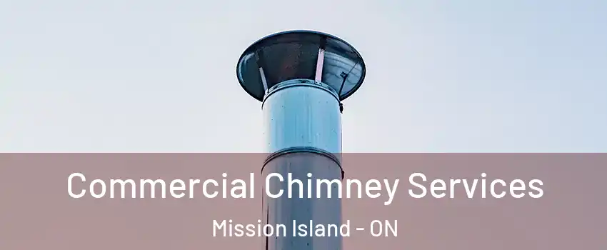  Commercial Chimney Services Mission Island - ON
