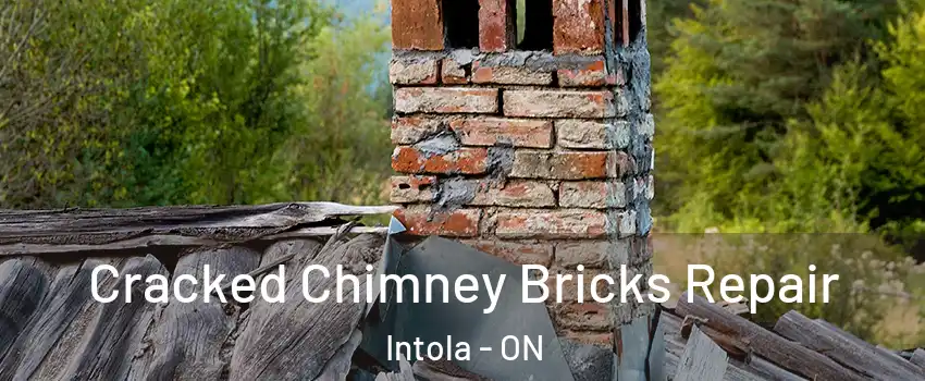  Cracked Chimney Bricks Repair Intola - ON