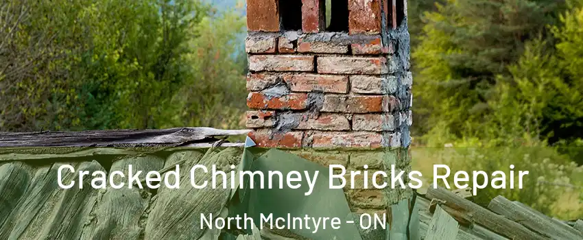  Cracked Chimney Bricks Repair North McIntyre - ON