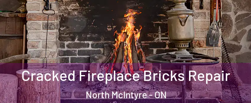  Cracked Fireplace Bricks Repair North McIntyre - ON