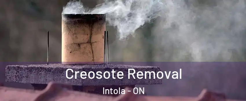  Creosote Removal Intola - ON