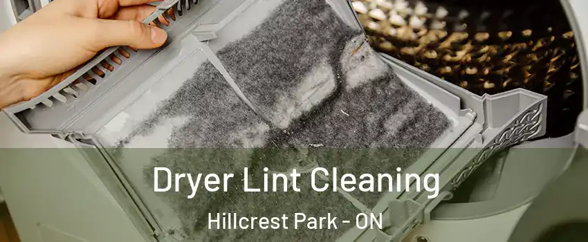  Dryer Lint Cleaning Hillcrest Park - ON