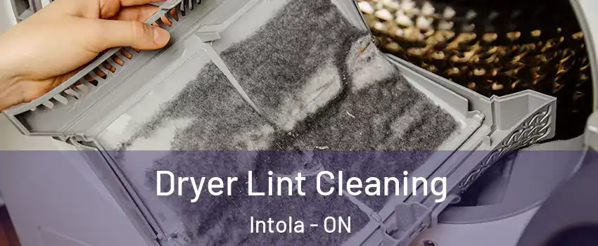  Dryer Lint Cleaning Intola - ON