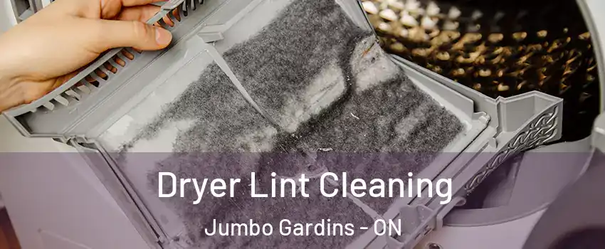  Dryer Lint Cleaning Jumbo Gardins - ON