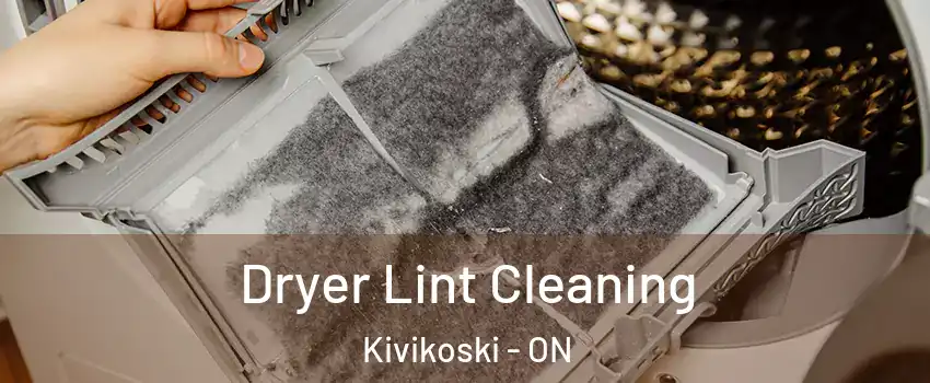  Dryer Lint Cleaning Kivikoski - ON