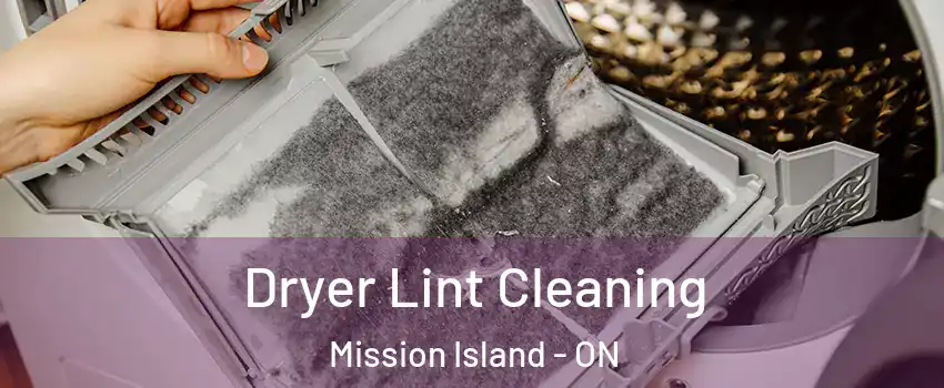  Dryer Lint Cleaning Mission Island - ON