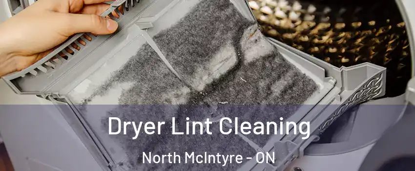  Dryer Lint Cleaning North McIntyre - ON