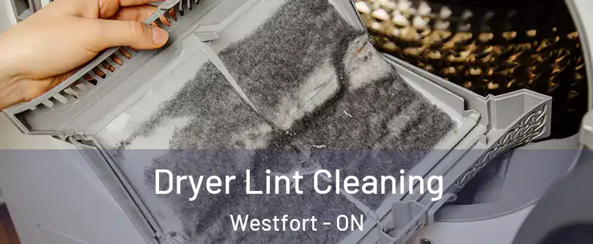  Dryer Lint Cleaning Westfort - ON