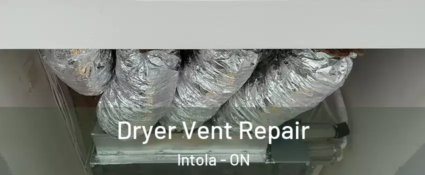  Dryer Vent Repair Intola - ON