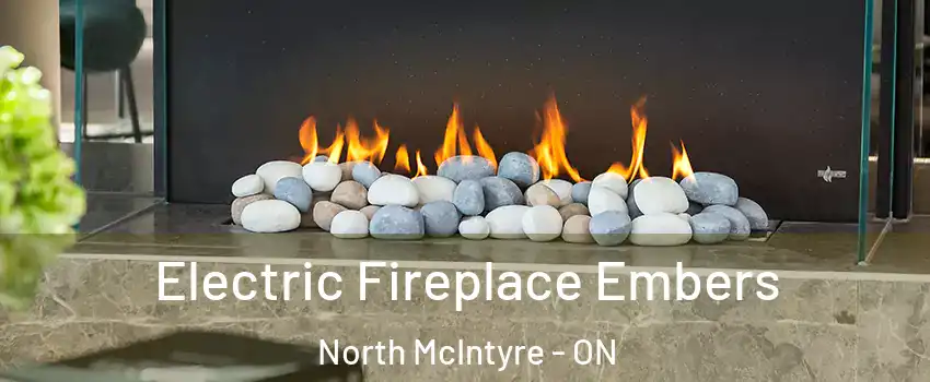  Electric Fireplace Embers North McIntyre - ON