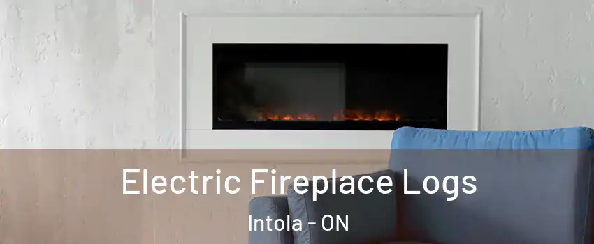  Electric Fireplace Logs Intola - ON