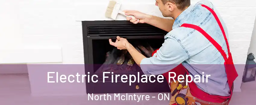  Electric Fireplace Repair North McIntyre - ON