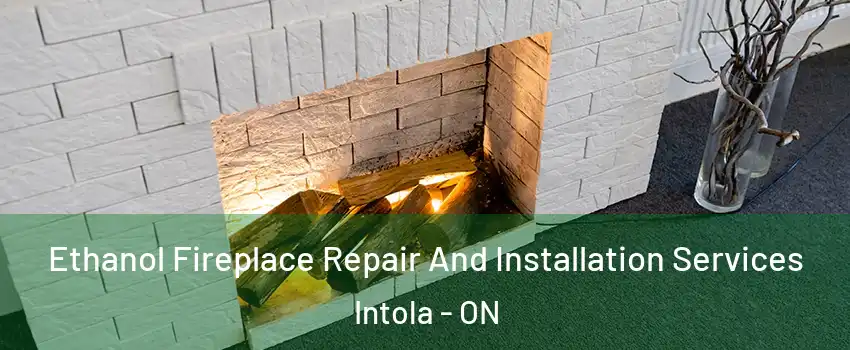  Ethanol Fireplace Repair And Installation Services Intola - ON