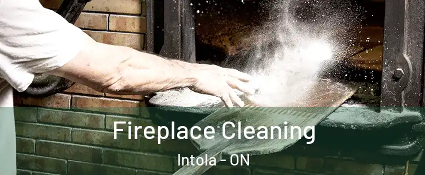  Fireplace Cleaning Intola - ON