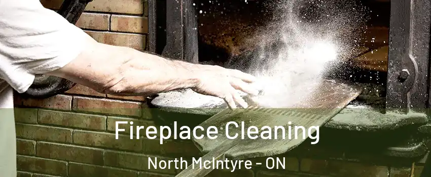  Fireplace Cleaning North McIntyre - ON