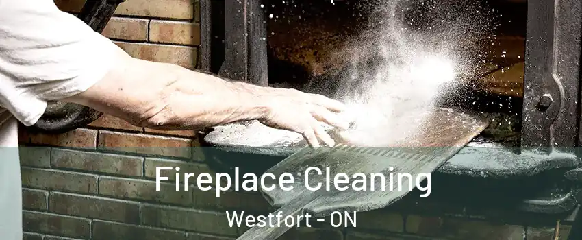  Fireplace Cleaning Westfort - ON