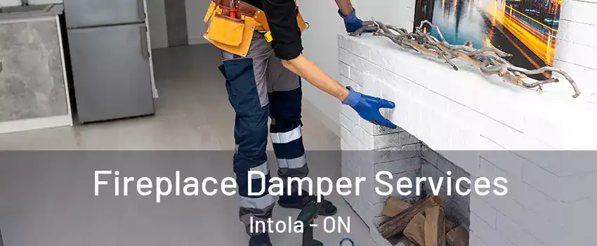  Fireplace Damper Services Intola - ON
