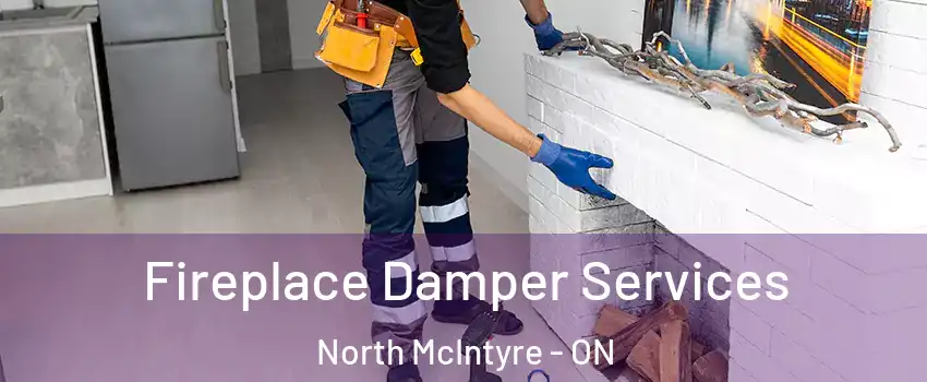 Fireplace Damper Services North McIntyre - ON