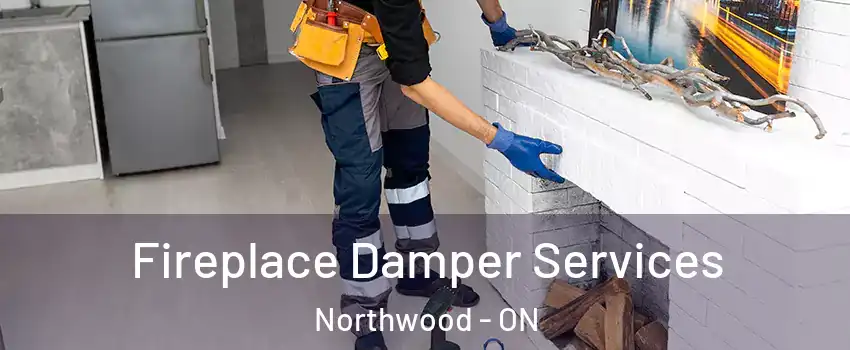  Fireplace Damper Services Northwood - ON