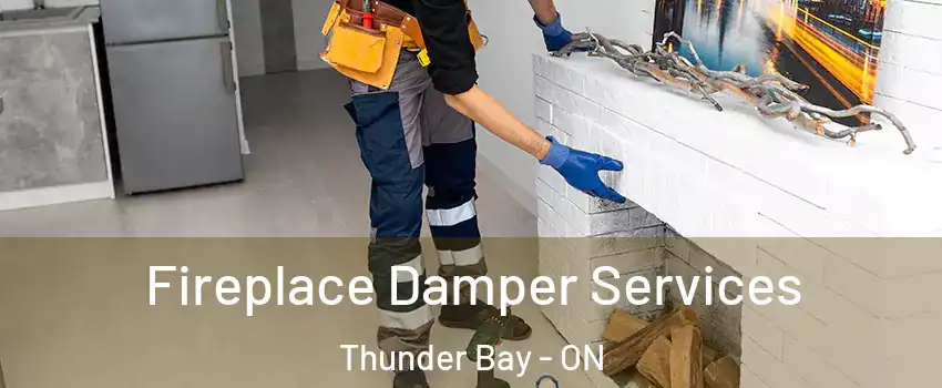  Fireplace Damper Services Thunder Bay - ON