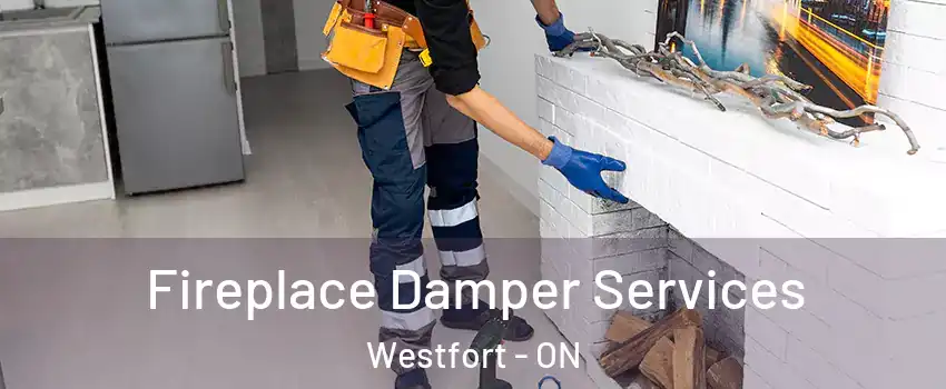  Fireplace Damper Services Westfort - ON