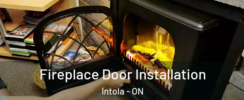  Fireplace Door Installation Intola - ON