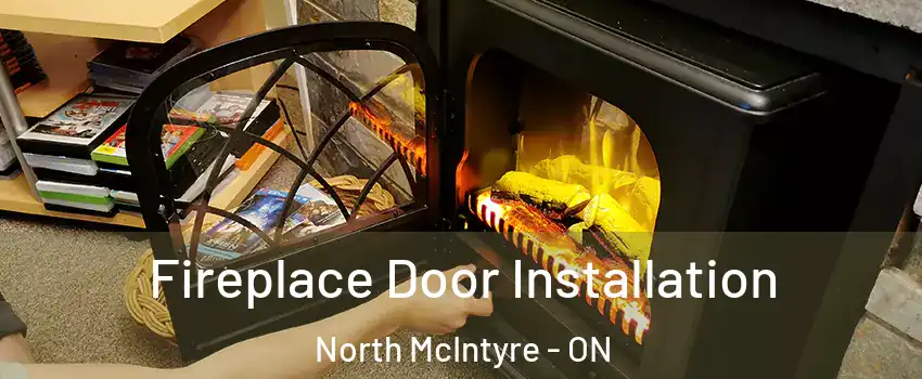  Fireplace Door Installation North McIntyre - ON