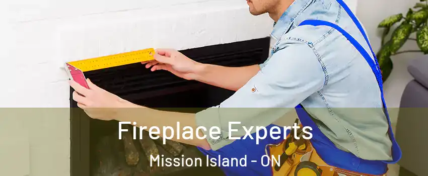  Fireplace Experts Mission Island - ON