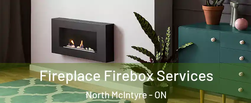  Fireplace Firebox Services North McIntyre - ON